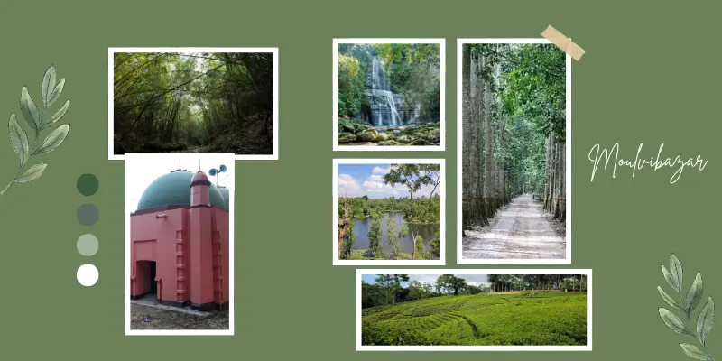 Moulvibazar Moulvibazar